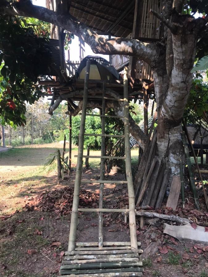 Hotel Amando_Tent Phayao Exterior foto